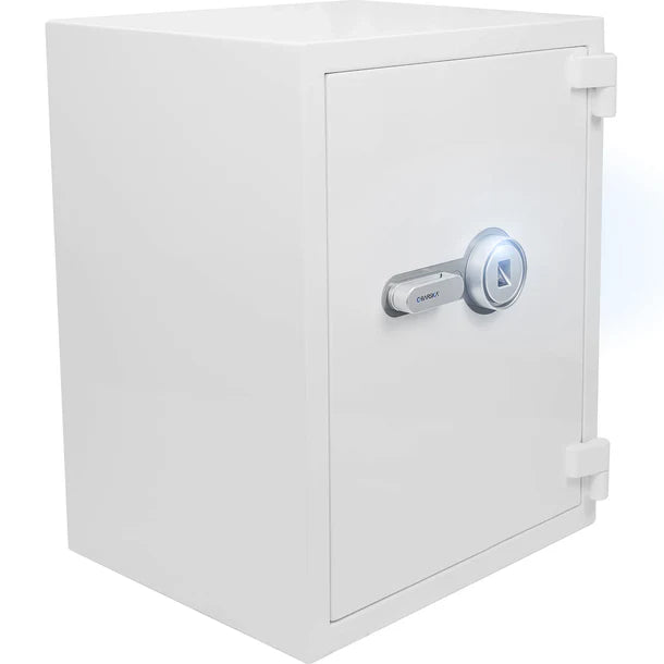 Barska AX13496 Biometric/Fingerprint Fireproof Jewelry Safe